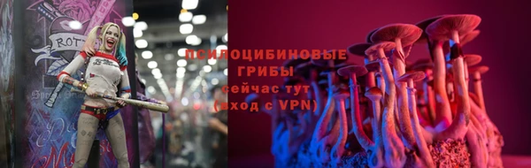 дживик Переславль-Залесский